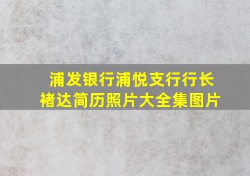 浦发银行浦悦支行行长褚达简历照片大全集图片