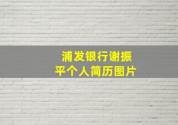 浦发银行谢振平个人简历图片