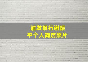 浦发银行谢振平个人简历照片