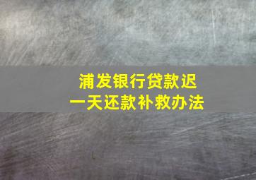 浦发银行贷款迟一天还款补救办法