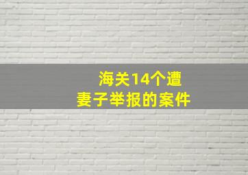 海关14个遭妻子举报的案件