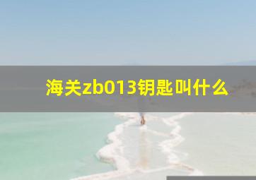 海关zb013钥匙叫什么