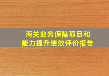 海关业务保障项目和能力提升绩效评价报告