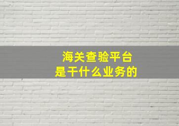 海关查验平台是干什么业务的