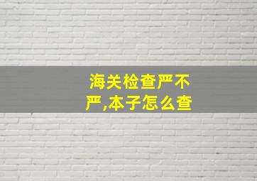 海关检查严不严,本子怎么查