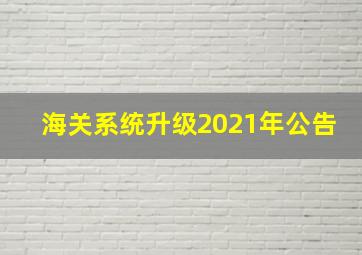 海关系统升级2021年公告