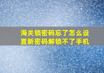 海关锁密码忘了怎么设置新密码解锁不了手机