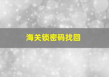 海关锁密码找回