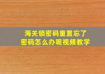 海关锁密码重置忘了密码怎么办呢视频教学