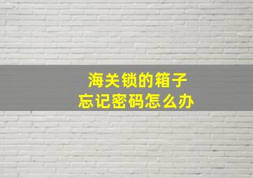 海关锁的箱子忘记密码怎么办