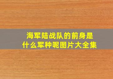 海军陆战队的前身是什么军种呢图片大全集