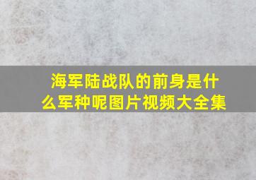 海军陆战队的前身是什么军种呢图片视频大全集