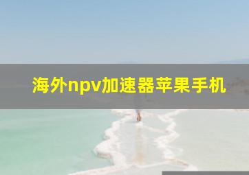 海外npv加速器苹果手机