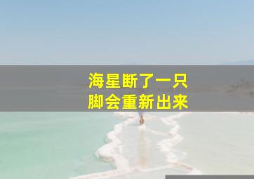 海星断了一只脚会重新出来