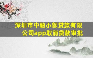 深圳市中融小额贷款有限公司app取消贷款审批