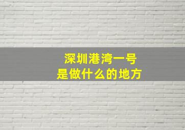 深圳港湾一号是做什么的地方