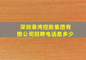 深圳港湾控股集团有限公司招聘电话是多少