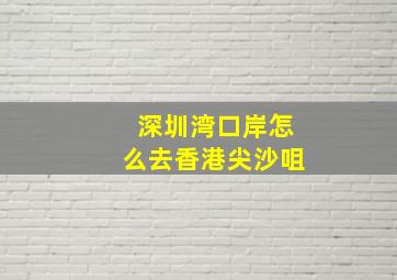 深圳湾口岸怎么去香港尖沙咀