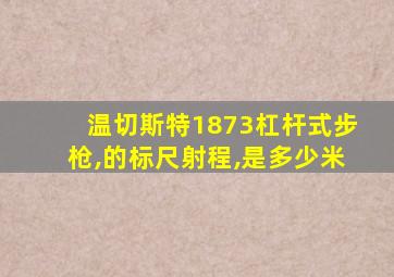 温切斯特1873杠杆式步枪,的标尺射程,是多少米