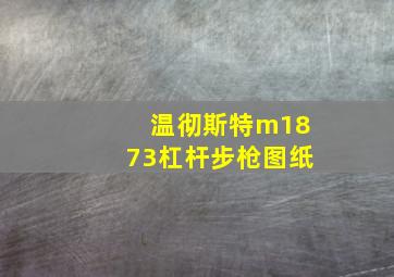 温彻斯特m1873杠杆步枪图纸