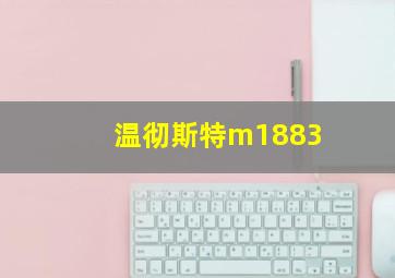 温彻斯特m1883