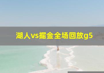 湖人vs掘金全场回放g5