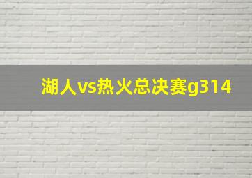 湖人vs热火总决赛g314