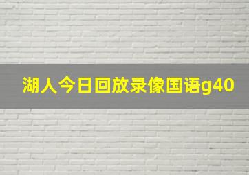 湖人今日回放录像国语g40