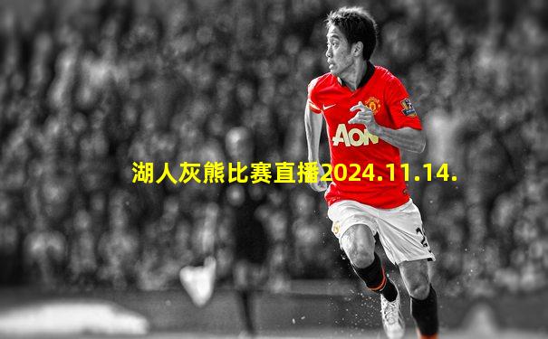 湖人灰熊比赛直播2024.11.14.