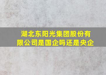 湖北东阳光集团股份有限公司是国企吗还是央企