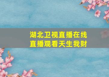 湖北卫视直播在线直播观看天生我财