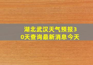 湖北武汉天气预报30天查询最新消息今天