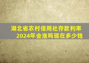 湖北省农村信用社存款利率2024年会涨吗现在多少钱