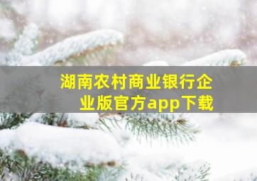 湖南农村商业银行企业版官方app下载