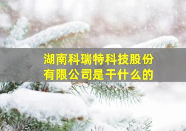 湖南科瑞特科技股份有限公司是干什么的