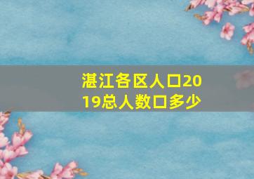 湛江各区人口2019总人数口多少