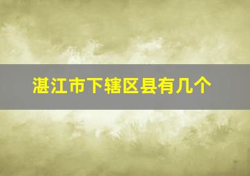 湛江市下辖区县有几个