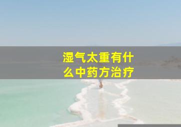 湿气太重有什么中药方治疗