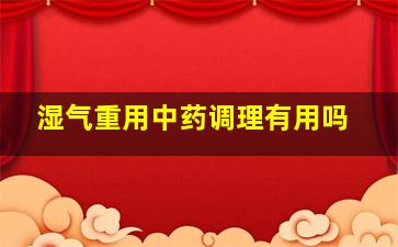 湿气重用中药调理有用吗