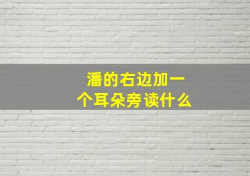 潘的右边加一个耳朵旁读什么