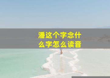 潘这个字念什么字怎么读音