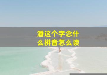 潘这个字念什么拼音怎么读