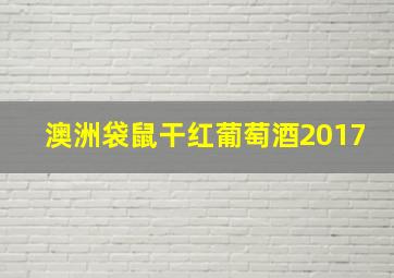 澳洲袋鼠干红葡萄酒2017