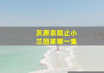 灰原哀阻止小兰回家哪一集