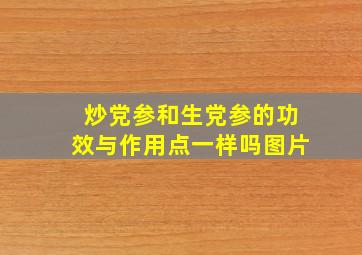 炒党参和生党参的功效与作用点一样吗图片