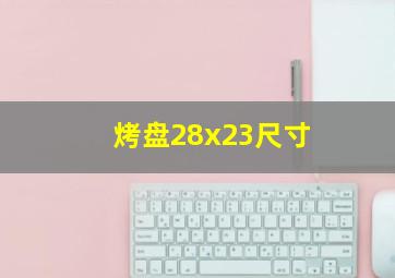 烤盘28x23尺寸