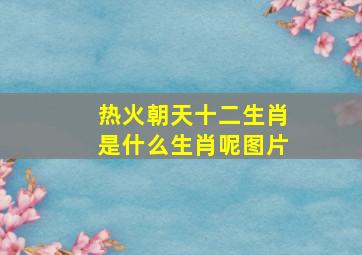 热火朝天十二生肖是什么生肖呢图片