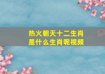 热火朝天十二生肖是什么生肖呢视频