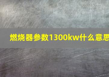 燃烧器参数1300kw什么意思