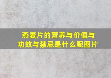 燕麦片的营养与价值与功效与禁忌是什么呢图片